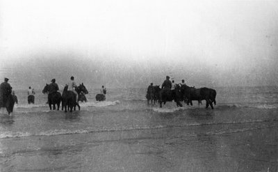 Soldiers Taking Their Horses for a Swim off the Coast of Normandy, August 1916 by English Photographer